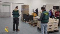 Detienen a un grupo criminal por estafar a empresas del sector agr&iacute;cola