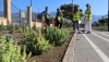 El Ejido destina 4.135.000 euros al a&ntilde;o al mantenimiento de parques y jardines