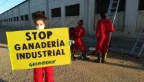 Greenpeace lanza diez propuestas para un PERTE agroalimentario sostenible