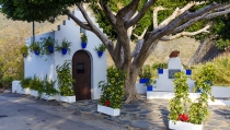 Sopalmo, pedan&iacute;a de Moj&aacute;car, celebra sus fiestas con actividades para todos