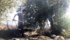 Almer&iacute;a llegar&aacute; a las 13.000 toneladas de aceite de oliva, 3.000 m&aacute;s que en la &uacute;ltima campa&ntilde;a