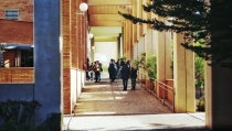 Convocan las elecciones a la Presidencia del Consejo de Estudiantes de la UAL