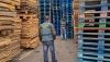 Tres detenidos por el robo de 30.000 palets de una empresa hortofrut&iacute;cola