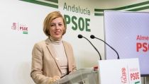El PSOE de Almer&iacute;a asegura que el Gobierno "ha cumplido con el sector del transporte"