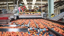 Andaluc&iacute;a aprueba el Plan Estrat&eacute;gico para el Impulso y la Modernizaci&oacute;n de la Econom&iacute;a Social