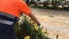 Dal&iacute;as inicia el plan de lucha integrada contra plagas en sus espacios verdes