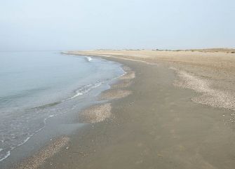 El Ejido