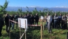 El Ifapa estudia la sostenibilidad del almendro ecol&oacute;gico de secano en Andaluc&iacute;a oriental