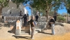 Desempleados mayores de 45 a&ntilde;os de Cuevas del Almanzora se forman en alba&ntilde;iler&iacute;a y jardiner&iacute;a