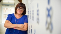 El Colegio de Enfermer&iacute;a de Almer&iacute;a reclama mejoras en la ratio por habitante