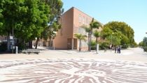 La comunidad universitaria se vuelca con la ayuda humanitaria para Ucrania