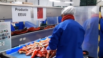 Las exportaciones andaluzas facilitaron m&aacute;s de 452.200 empleos en 2024