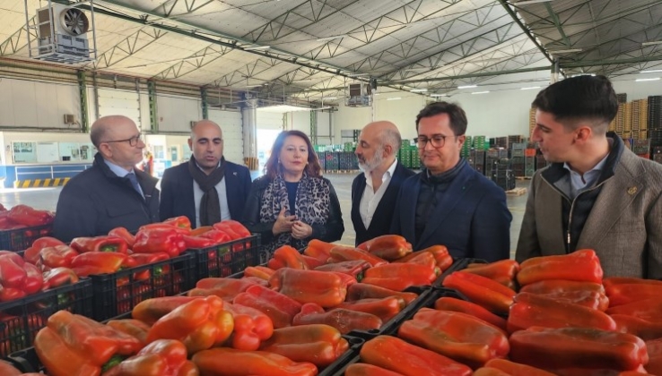 Andaluc&iacute;a logra 1.434 millones en exportaciones de productos agroalimentarios en enero