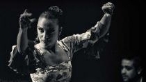 La bailaora almeriense Mayte Beltr&aacute;n.