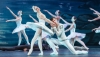 El cl&aacute;sico del ballet 'El Lago de los Cisnes', en el Auditorio Maestro Padilla