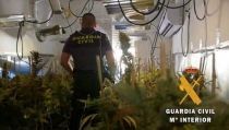 Detienen a un hombre y su hija por cultivar marihuana en dos viviendas de Roquetas