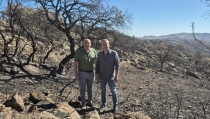 El PSOE exige una "decidida" acci&oacute;n judicial por el incendio forestal de Lubr&iacute;n