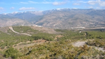 M&aacute;s de un mill&oacute;n de euros para tratamientos de prevenci&oacute;n en Sierra de G&aacute;dor