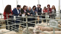 Agricultores y ganaderos reciben ayudas para la realizaci&oacute;n de cert&aacute;menes