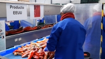 Nuevo r&eacute;cord de exportaciones andaluzas, con 14.374 millones entre enero y abril