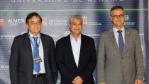 El desarrollo del hidr&oacute;geno verde en Almer&iacute;a, en los Cursos de Verano de la UAL