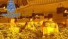 La Polic&iacute;a ha detenido este a&ntilde;o a 120 personas por cultivar marihuana en Almer&iacute;a