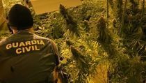 Desmantelan una plantaci&oacute;n 'indoor' de marihuana en Roquetas de Mar