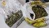 Detenido en Cuevas por transportar cogollos de marihuana en su veh&iacute;culo