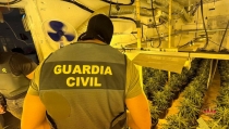 Desmantelan un centro de producci&oacute;n de marihuana en tres viviendas de V&iacute;car