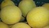 ASAJA Almer&iacute;a calcula que la cosecha de mel&oacute;n y sand&iacute;a sufrir&aacute; una ca&iacute;da del 30%