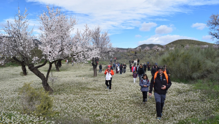 SENDERISMO: Lubr&iacute;n fascina en la primera de las Rutas del Almendro en Flor Filabres Alhamilla - Nacimiento 2026