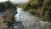 Miteco aprueba el informe de impacto ambiental para mejorar el cauce del r&iacute;o Adra