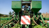 Andaluc&iacute;a destina 91 millones a la incorporaci&oacute;n al campo de nuevos productores