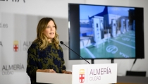 Almer&iacute;a saca a concesi&oacute;n quince estaciones de recarga para veh&iacute;culos el&eacute;ctricos