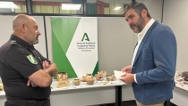 Recuperan m&aacute;s de 1.200 piezas arqueol&oacute;gicas en la provincia de Almer&iacute;a