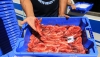 Los II Premios Gamba Roja de Almer&iacute;a reconocen la excelencia del sector pesquero