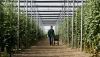 El sector hortofrut&iacute;cola exige al Gobierno que defienda los intereses de los productores espa&ntilde;oles