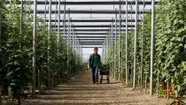 El sector hortofrut&iacute;cola exige al Gobierno que defienda los intereses de los productores espa&ntilde;oles