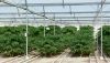 Las exportaciones agroalimentarias andaluzas crecieron un 4,5% en el primer cuatrimestre de 2021