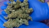 Desmantelan un laboratorio clandestino de drogas en Roquetas de Mar