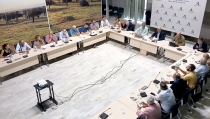 Andaluc&iacute;a espera una producci&oacute;n de 2,11 millones de toneladas de c&iacute;tricos en esta campa&ntilde;a