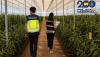 Descubren el fraude a la Seguridad Social de un entramado de empresas agr&iacute;colas
