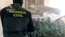 Detienen al responsable de una plantaci&oacute;n 'indoor' de marihuana en Roquetas