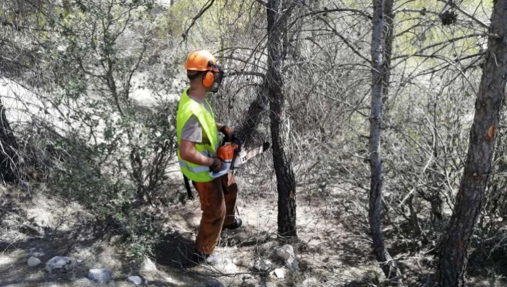 Inversi&oacute;n de dos millones para la gesti&oacute;n forestal en Sierra Mar&iacute;a-Los V&eacute;lez
