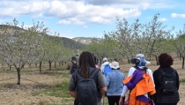 SENDERISMO: Sorbas y Uleila del Campo fascinan en las Rutas del Almendro en Flor Filabres Alhamilla-Nacimiento 2026