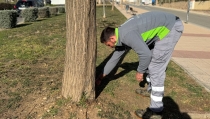 Dal&iacute;as refuerza los trabajos de mantenimiento de los espacios verdes