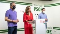 El PSOE exige investigar todas las adjudicaciones realizadas por Liria