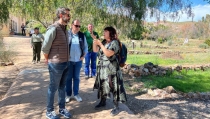 La biodiversidad vegetal de Almer&iacute;a se muestra en el Jard&iacute;n Bot&aacute;nico El Albardinal