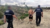 N&iacute;jar aumenta la vigilancia para evitar los robos en la campa&ntilde;a de sand&iacute;a