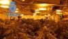 Detenidos los responsables de plantaciones de marihuana en Almer&iacute;a y Berja